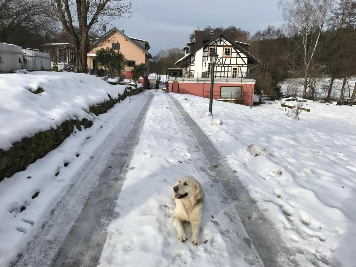 Ferienwohnungen Grundmuehle Nordheim vor der Rhön Exterior foto